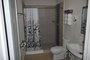 Shower, hair dryer, towels, soap