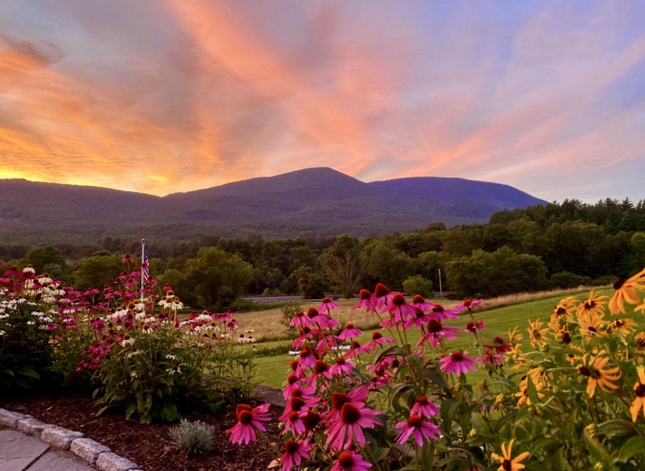 A garden with vibrant flowers and a mountain in the background.