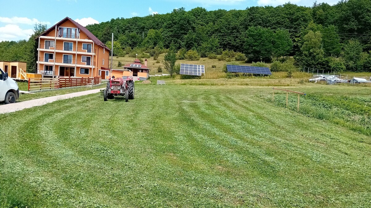 Image de profil de l’hôte