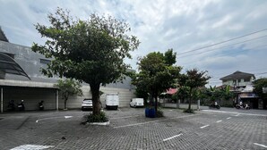 Un estacionamiento pavimentado con un árbol en el centro, rodeado de edificios y vehículos estacionados.
