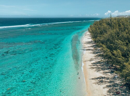 Appartement T3 70 m² avec jardin, vue sur le lagon, à trois minutes de la plage.