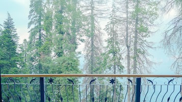 Vistas desde la habitación