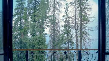 A balcony with a view of tall trees and a body of water.