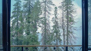 Alpehytte – superior, 3 soverom | Utsikt fra rommet