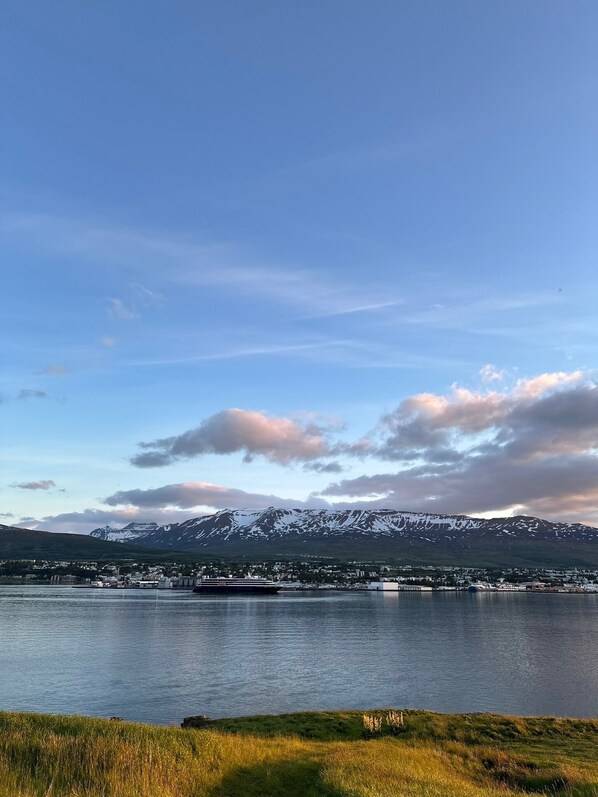 A coastal town with a large body of water, a cruise ship docked, and snow-capped mountains in the background.