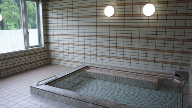 A room with a tiled floor, a rectangular hot tub with a safety rail, and a window with a view of trees. - Gassan no yado kasiwaya (Nishikawa)