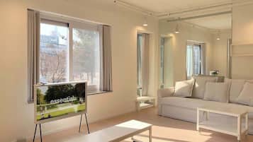 Fernseher, Arbeitsbereiche