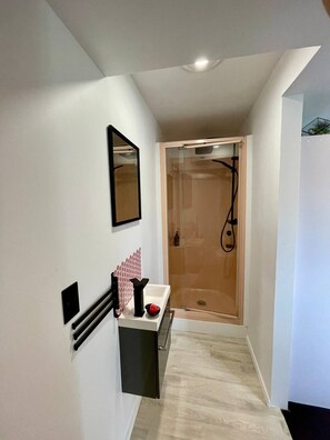 Secador de cabelo, toalhas de banho, papel higiênico 