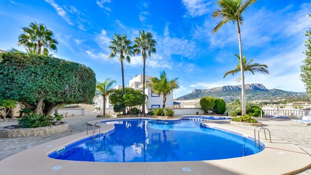 Piscina con terraza de piedra, rodeada de palmeras y vistas a la montaña.
