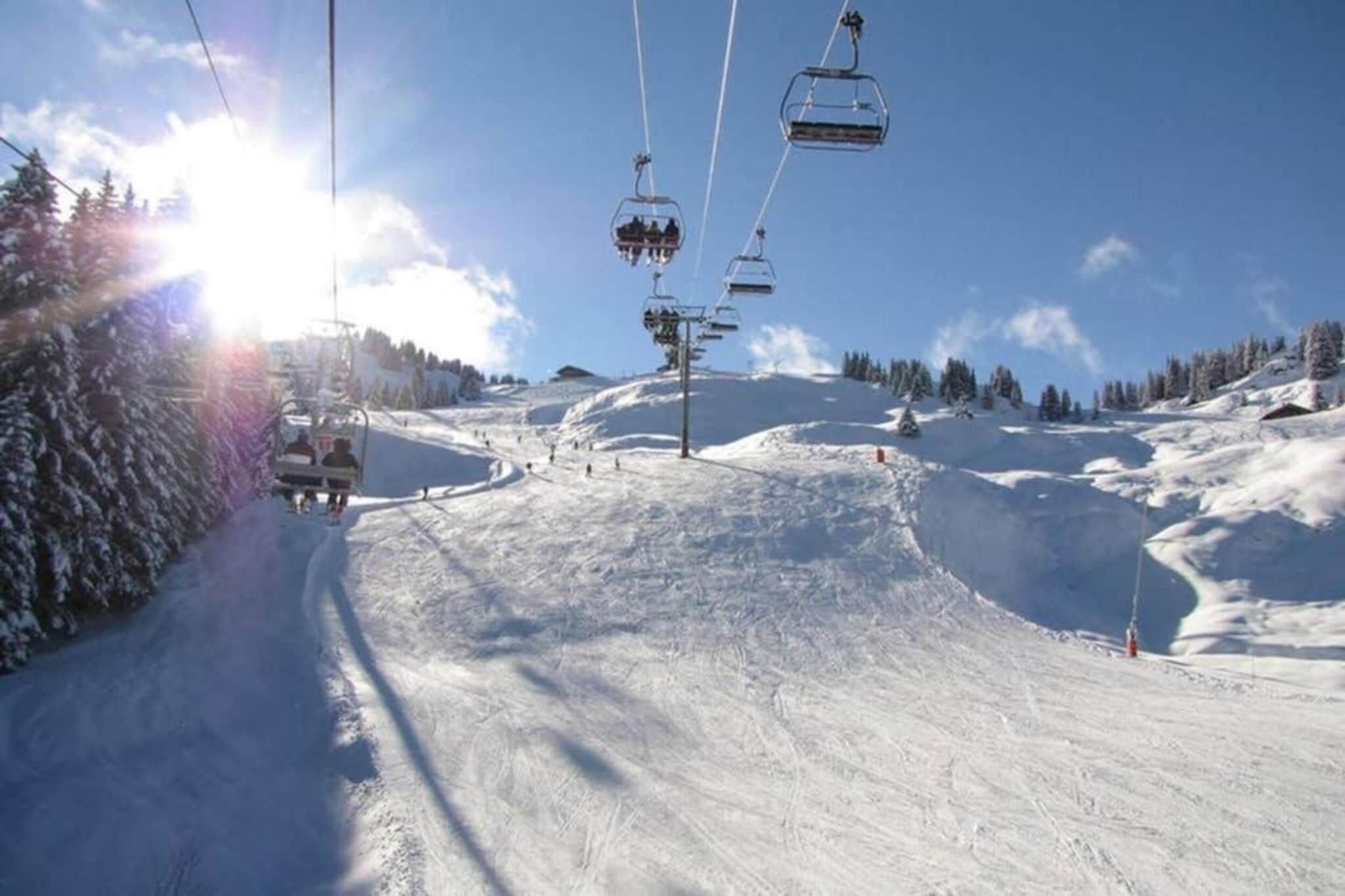 Surroundings [winter] (1-5 km)