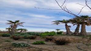 A landscaped garden with palm trees and various shrubs. - Peaceful Villa in Sérignan (Sérignan)