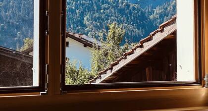 Walser Chalet - Cozy, gently renovated half of the house, quiet and central