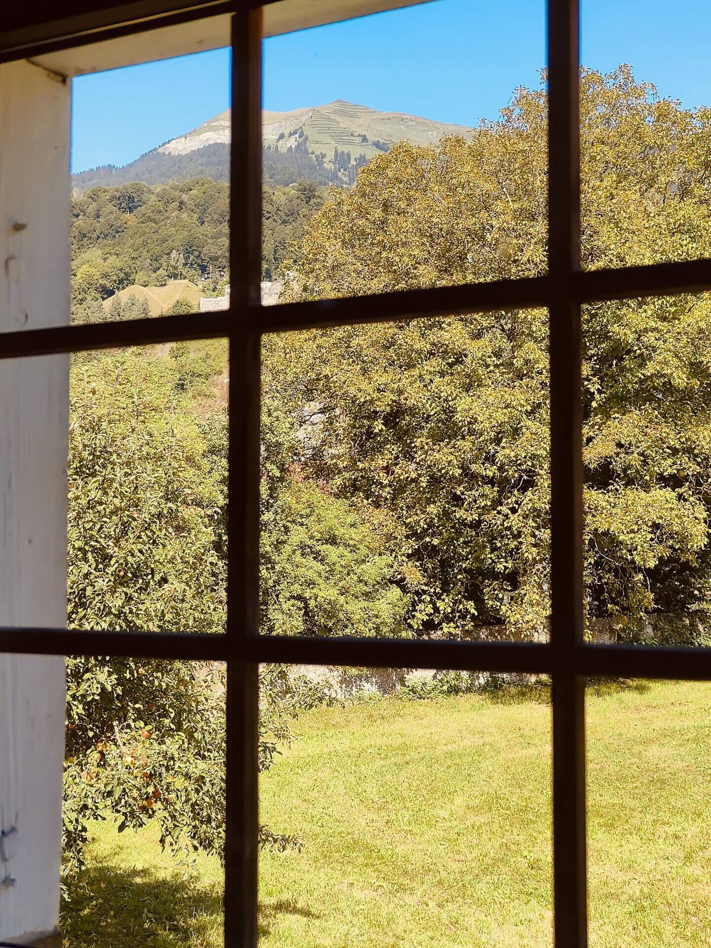 Blick durch ein Fenster mit Gittermuster, der einen Landschaftsüberblick mit Bäumen und einem entfernten Berg zeigt.