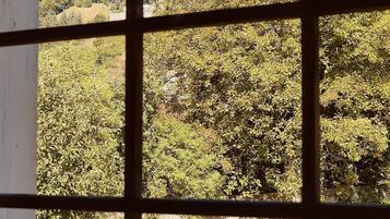 Blick durch ein Fenster mit Gittermuster, der einen Landschaftsüberblick mit Bäumen und einem entfernten Berg zeigt.