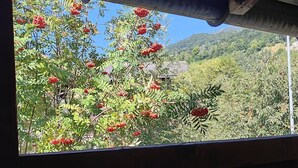 Blick auf einen üppigen Garten mit roten Beeren und grünem Laub, einem klaren blauen Himmel und einer bergigen Landschaft im Hintergrund.
