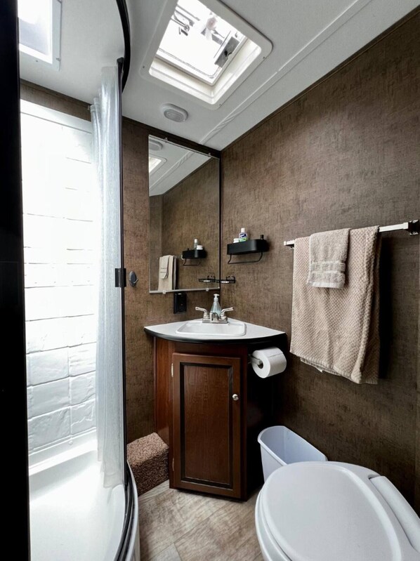 A bathroom with a skylight, a sink, a toilet, and a mirror. - Payne Lake Wilderness Huts-Camper E3 (Mountin View)