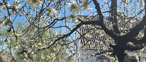 Details aan de buitenkant