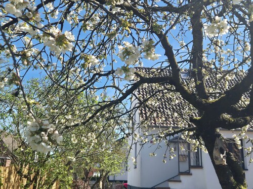 Maison de vacances « Schäferhaus » avec terrasse privée, jardin privé et Wi-Fi