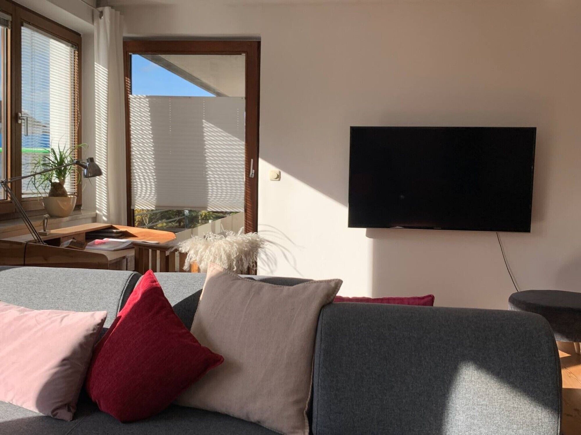 TV