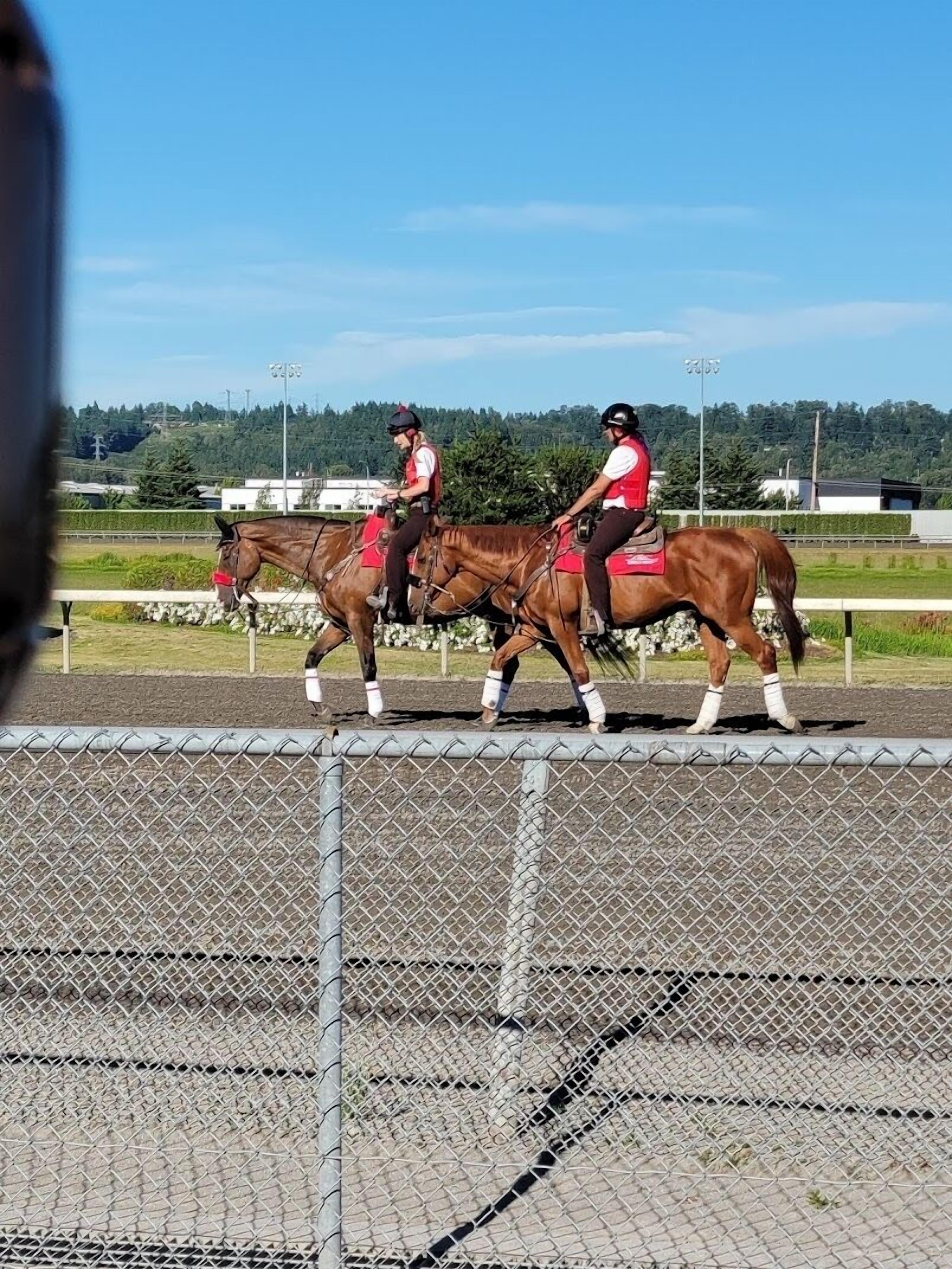 Two riders on horses in a fenced area.