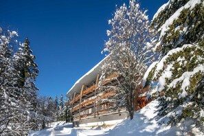 Exterior - Alpine Apartment in Chamrousse (Chamrousse)