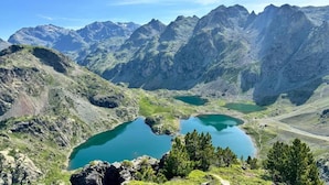 منوع