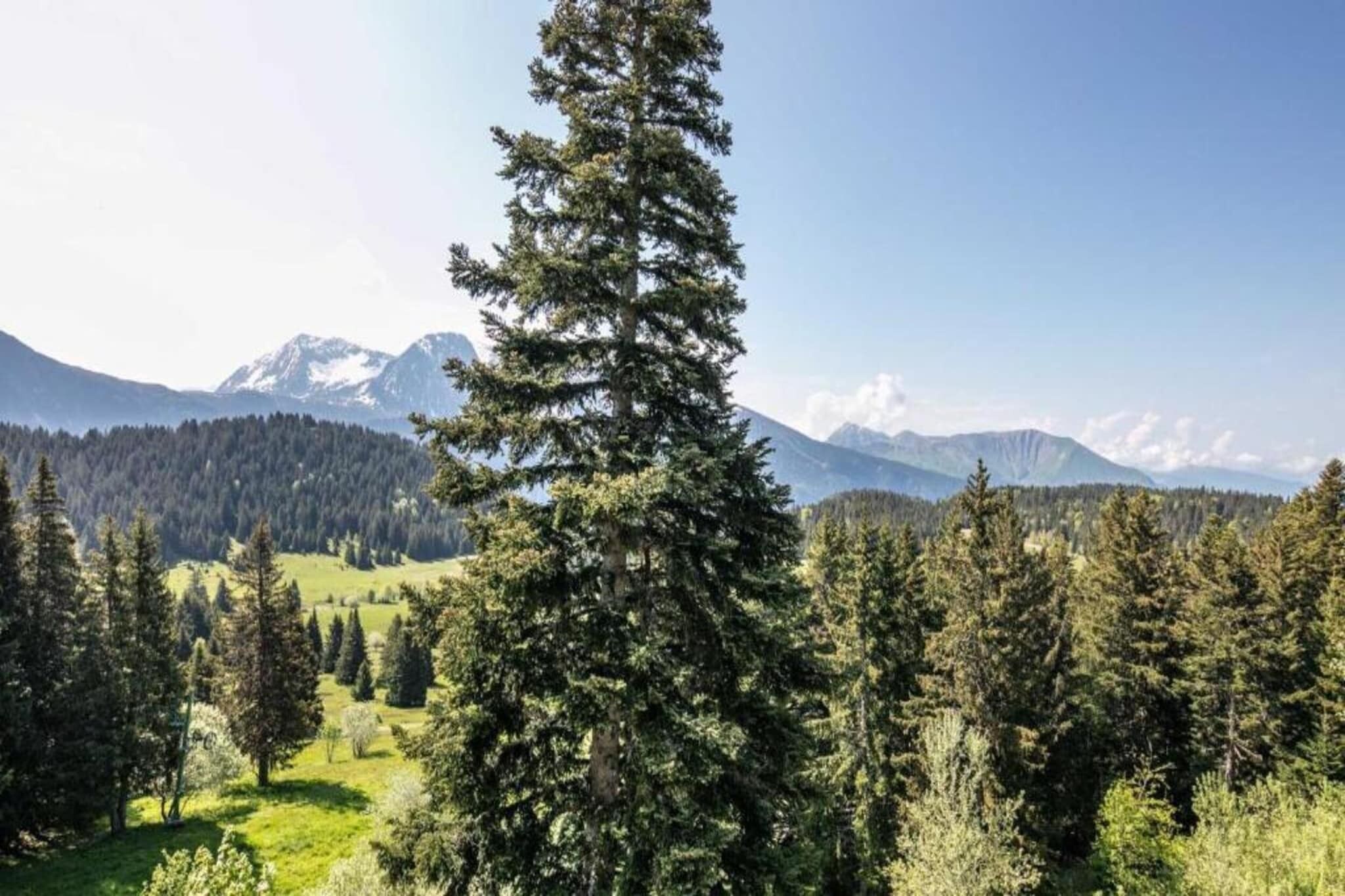 A mountainous landscape with dense forests and a prominent evergreen tree in the foreground.