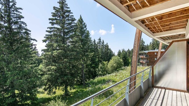 A wooden deck with a metal railing overlooking a forested area. - Alpine Apartment with Terrace (Chamrousse)