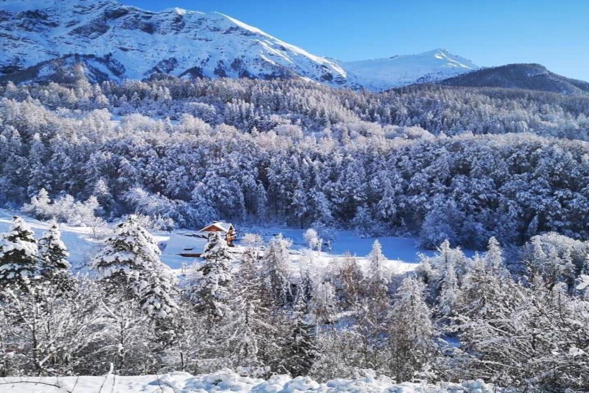 A snow-covered forest with a cabin and mountains in the background.