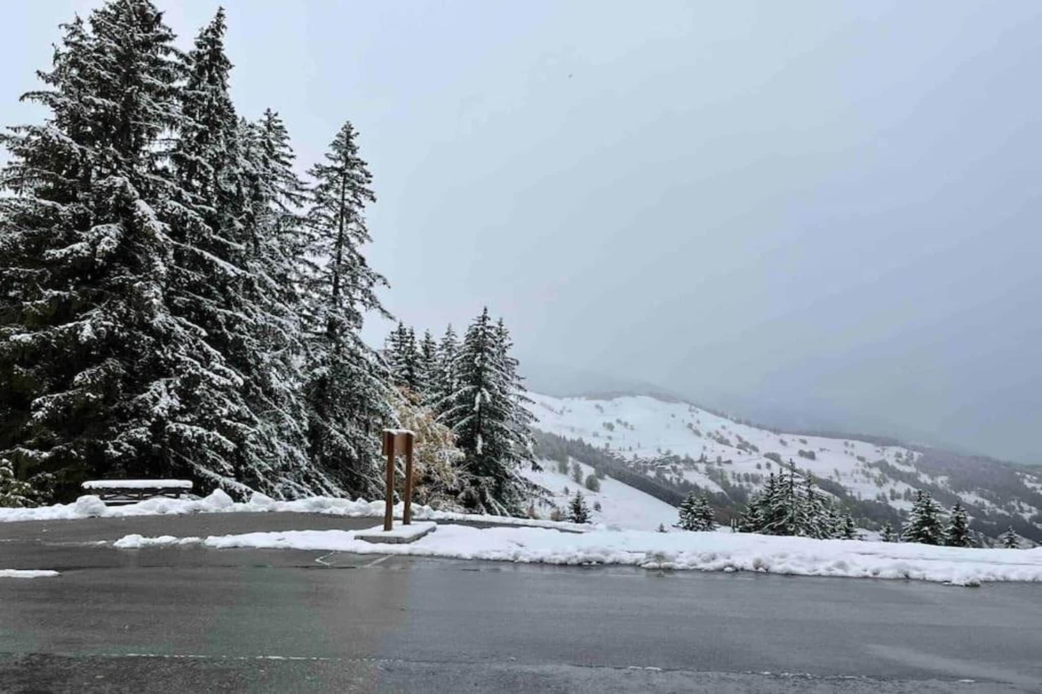 Un paisaje nevado con una carretera, árboles cubiertos de nieve y un banco.