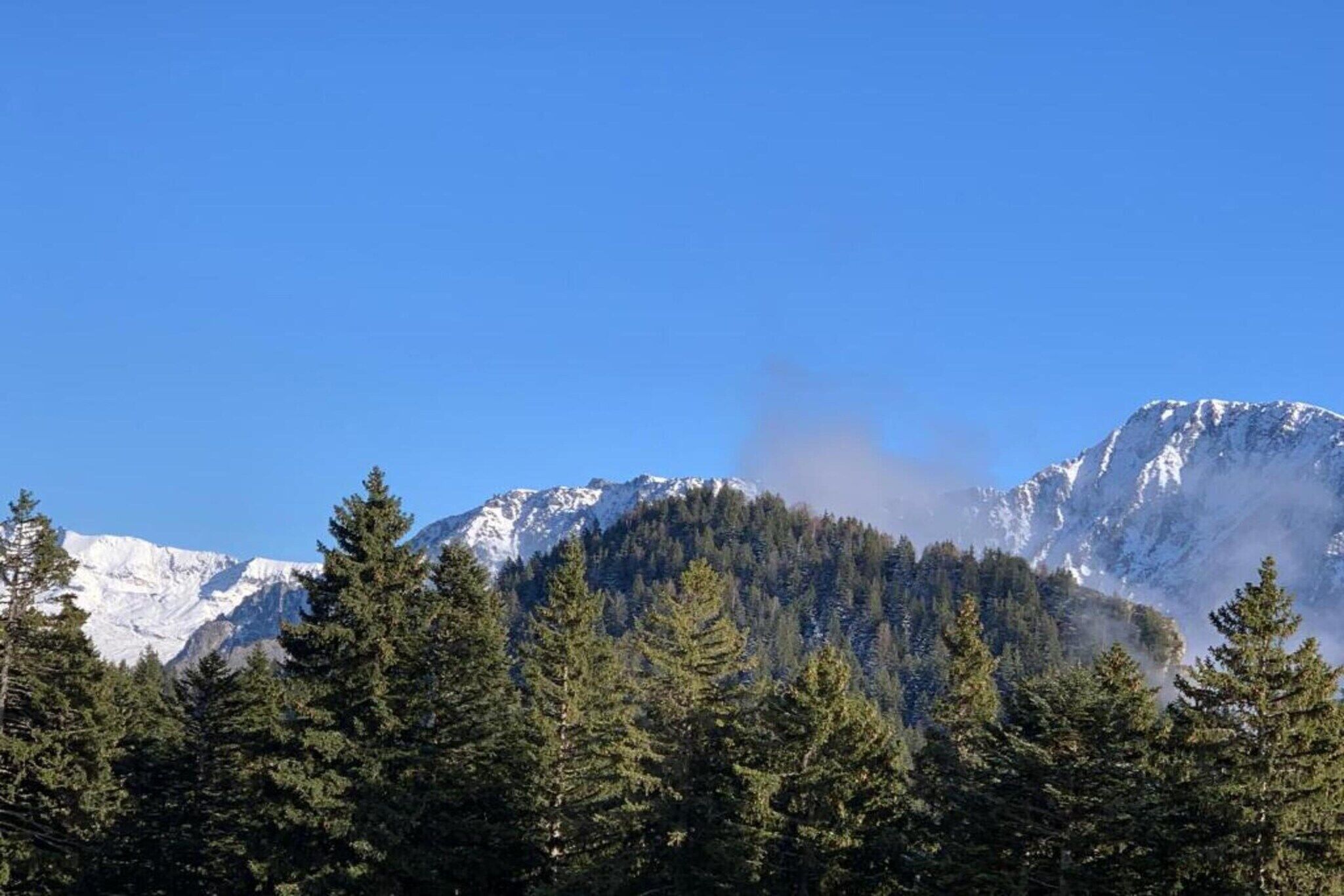 Paesaggio montano con cime innevate, fitta foresta e cielo azzurro intenso.