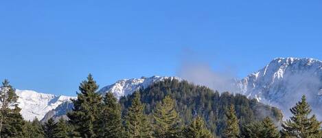 Paesaggio montano con cime innevate, fitta foresta e cielo azzurro intenso.
