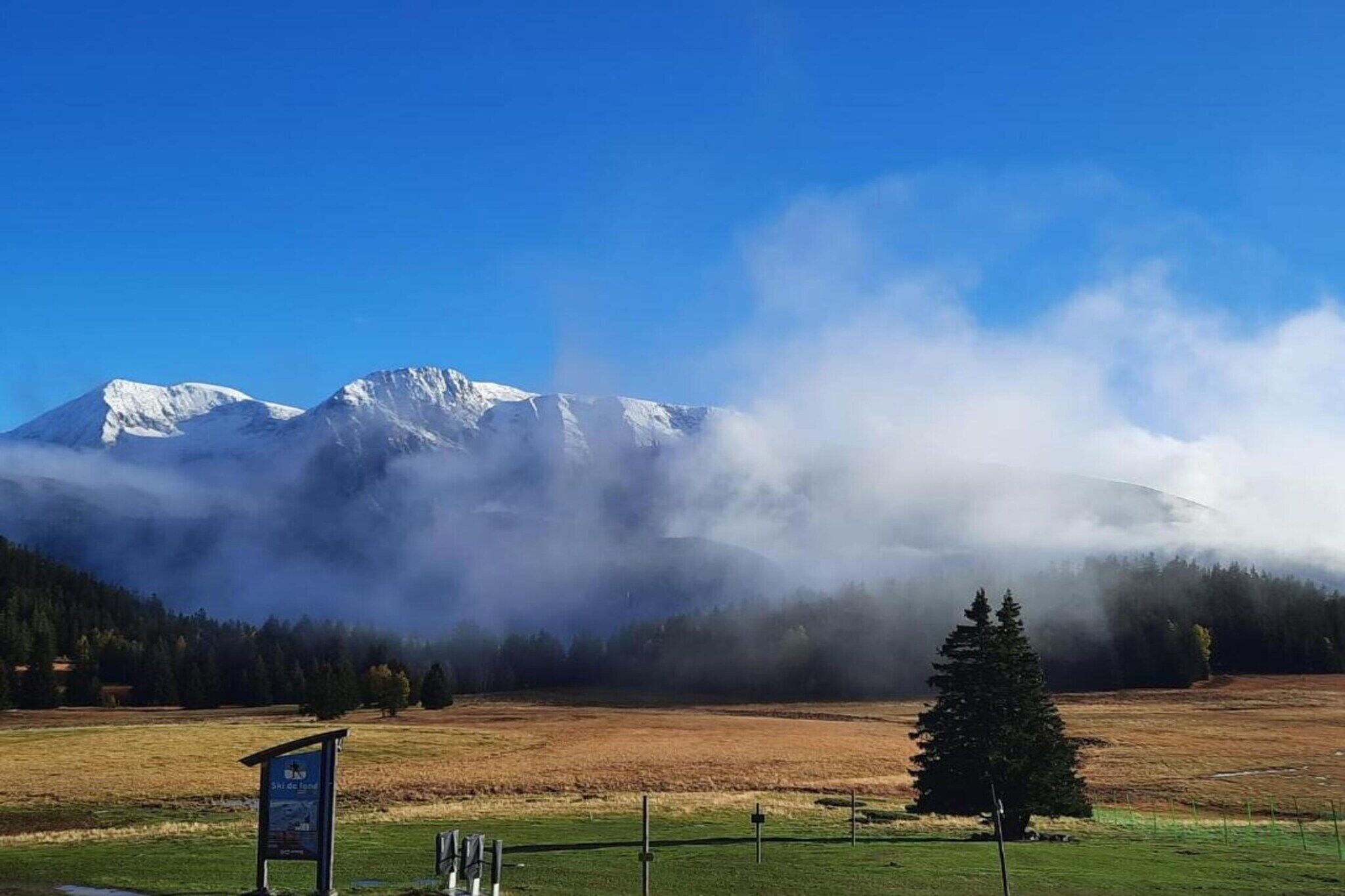 A mountain landscape with snow-capped peaks, a forested area, and a clear sky.