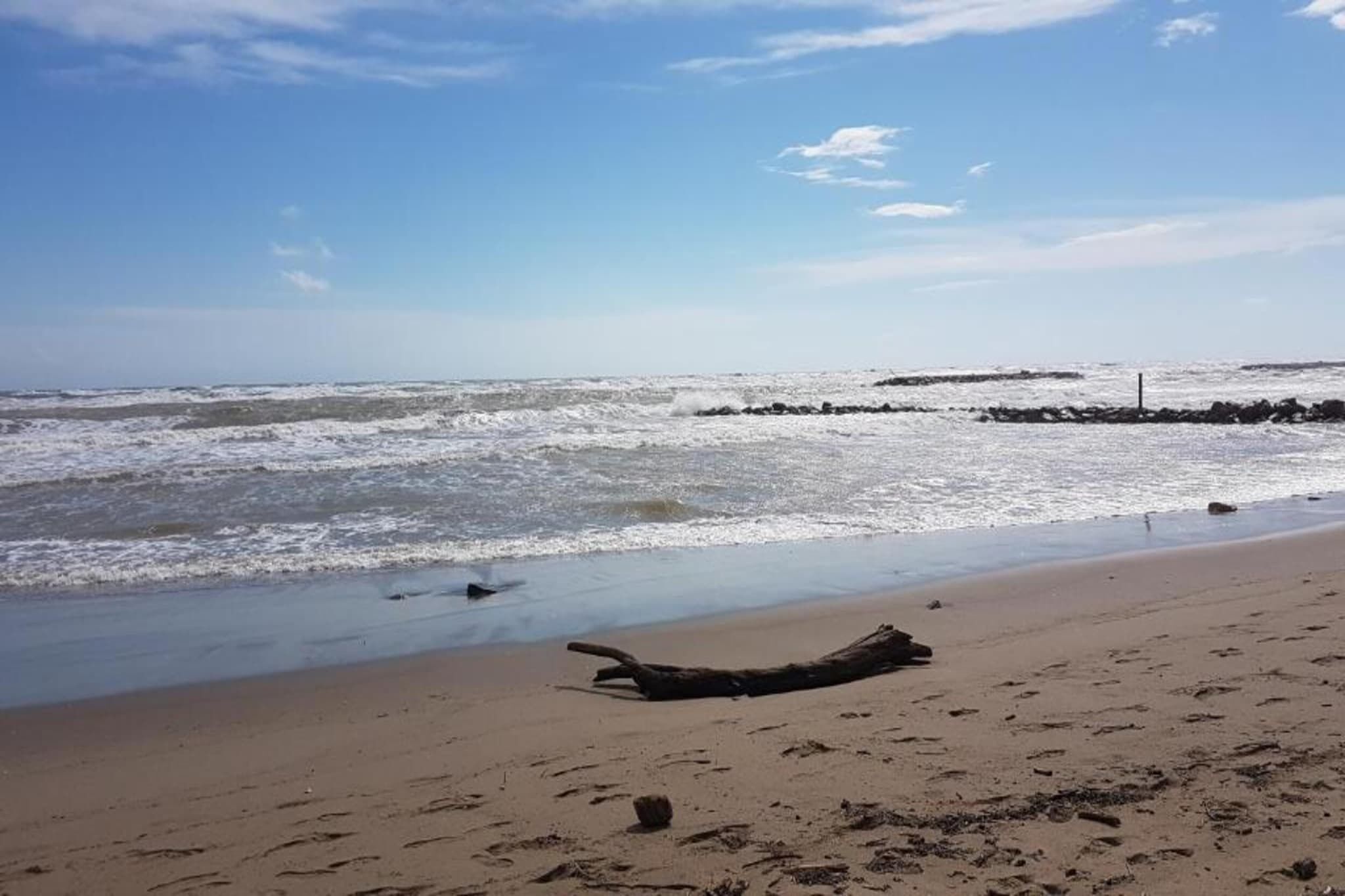 A sandy beach with a driftwood log and a rocky breakwater in the distance.