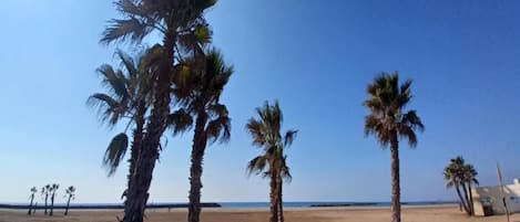 Vlak bij het strand