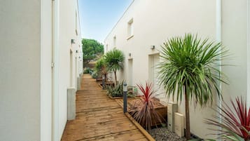 A narrow wooden pathway flanked by white walls and various potted plants.