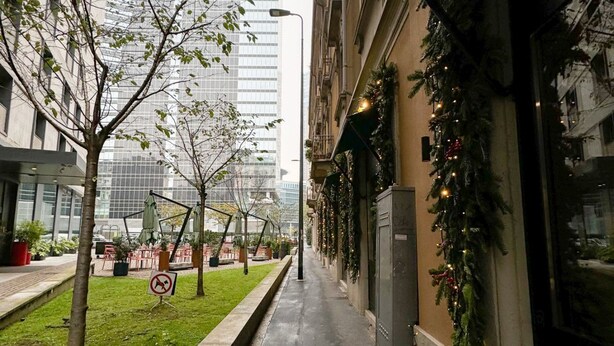 A narrow urban pathway with a small tree, a no-pet sign, and a building with festive decorations.