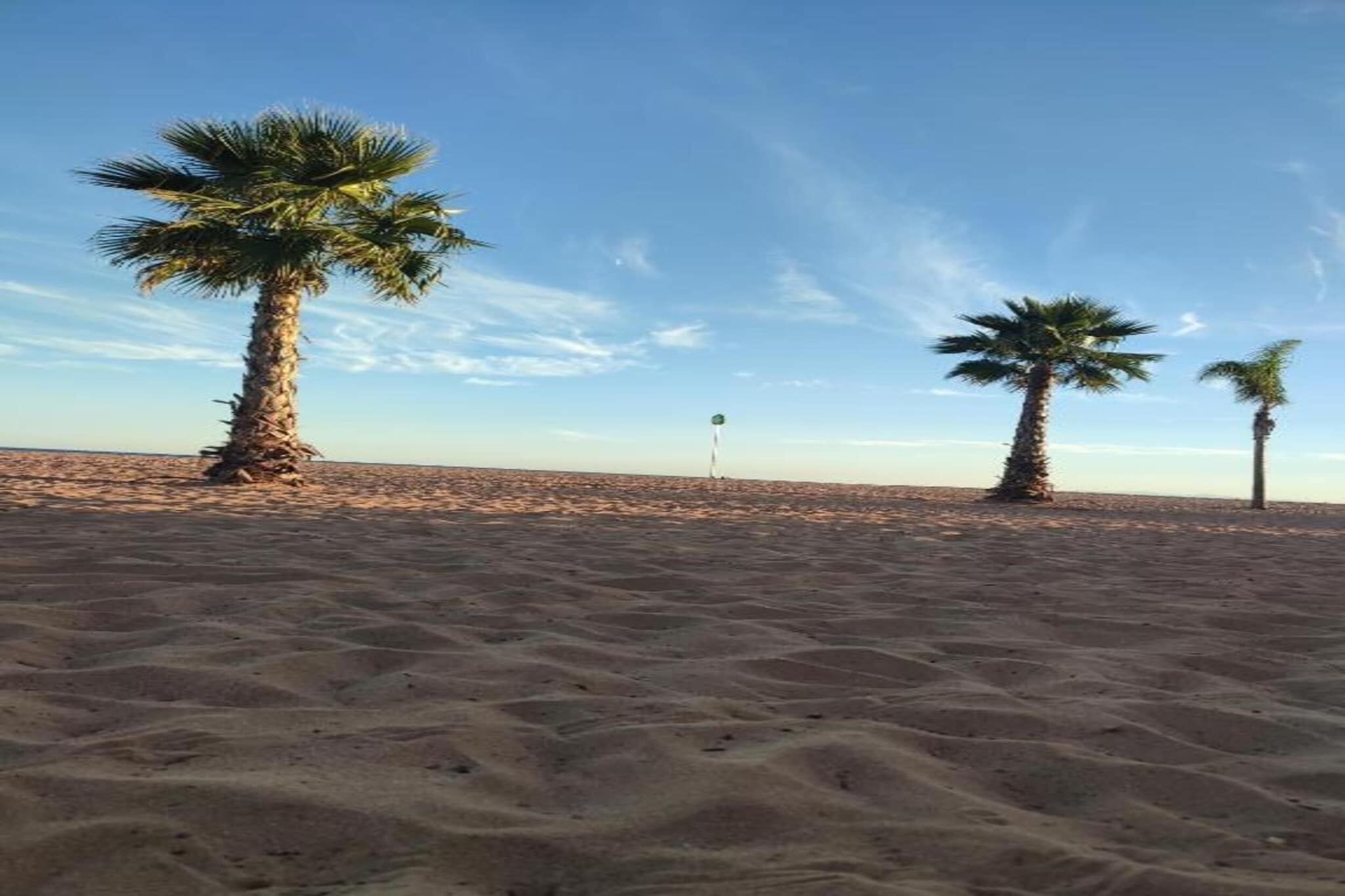 A desert landscape with three palm trees and a flagpole in the distance.