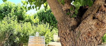 Domaine de Maurel