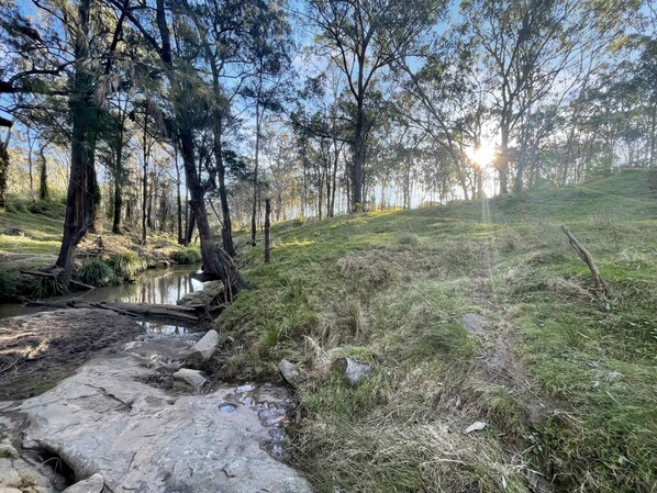 A natural landscape with a stream, trees, and a grassy area. - Whispering Gums - Your tranquil Hunter Valley retreat (NORTH ROTHBURY)