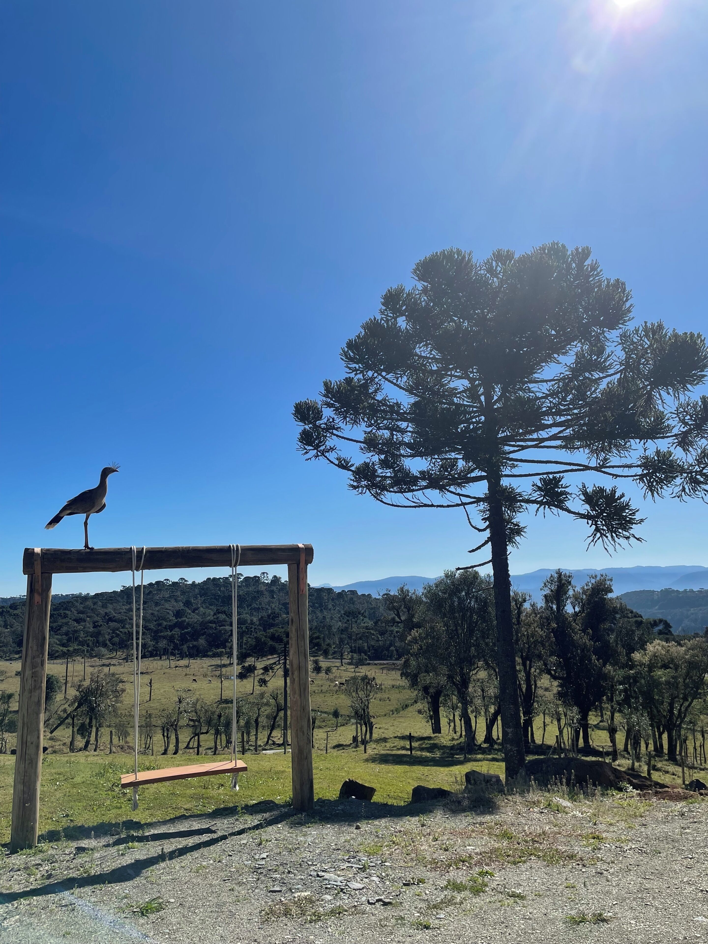 Deluxe Chalet, Mountain View | View from room
