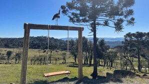 Un columpio de madera en un campo cubierto de césped, con un cielo despejado y un gran pino al fondo.