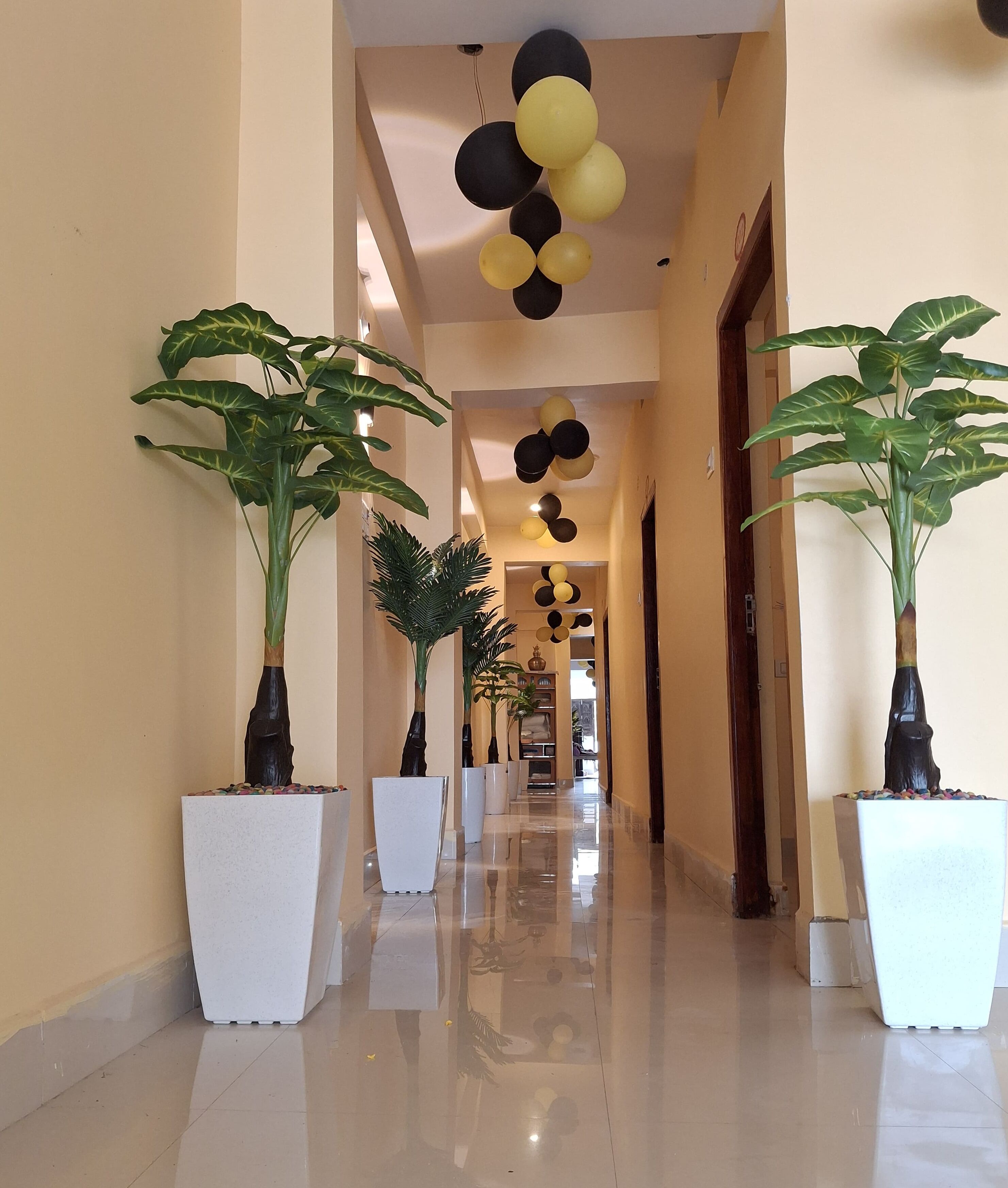Un pasillo con plantas en macetas, suelo pulido y techo decorado con globos.