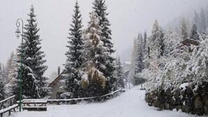 A snow-covered landscape with a wooden cabin and tall evergreen trees.