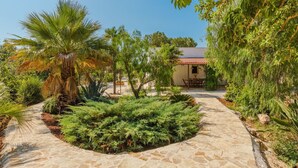 A stone pathway leading to a building with a tiled roof, surrounded by lush greenery and palm trees.