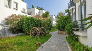 Un chemin menant à un bâtiment aux murs blancs, avec un sentier en pierre et de la verdure, notamment des fleurs roses et un palmier.