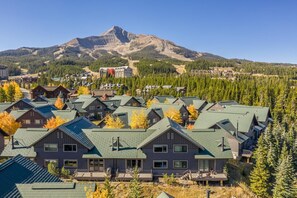 A cluster of modern cabins with green roofs, surrounded by dense forest and a mountain in the background.