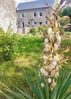 A garden with a variety of plants, a stone wall, and a building with multiple windows in the background.