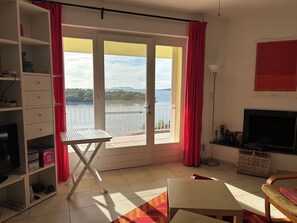 Televisie, een open haard, een dvd-speler en boeken