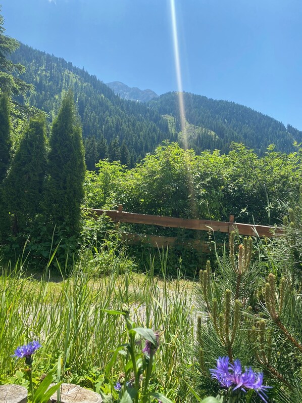 Property grounds - Hoamat Apartments TOP 1 (Ochsengarten)